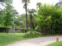 PICT0065.JPG