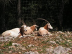 PICT0032