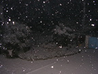 PICT5095