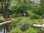 PICT0053