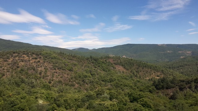 20170728 154521 - 20170728_154521.jpg 20170728_154521.jpg